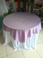 /album/cobre-manchas/cobre-mancha-lilas-cetim-jpg1/